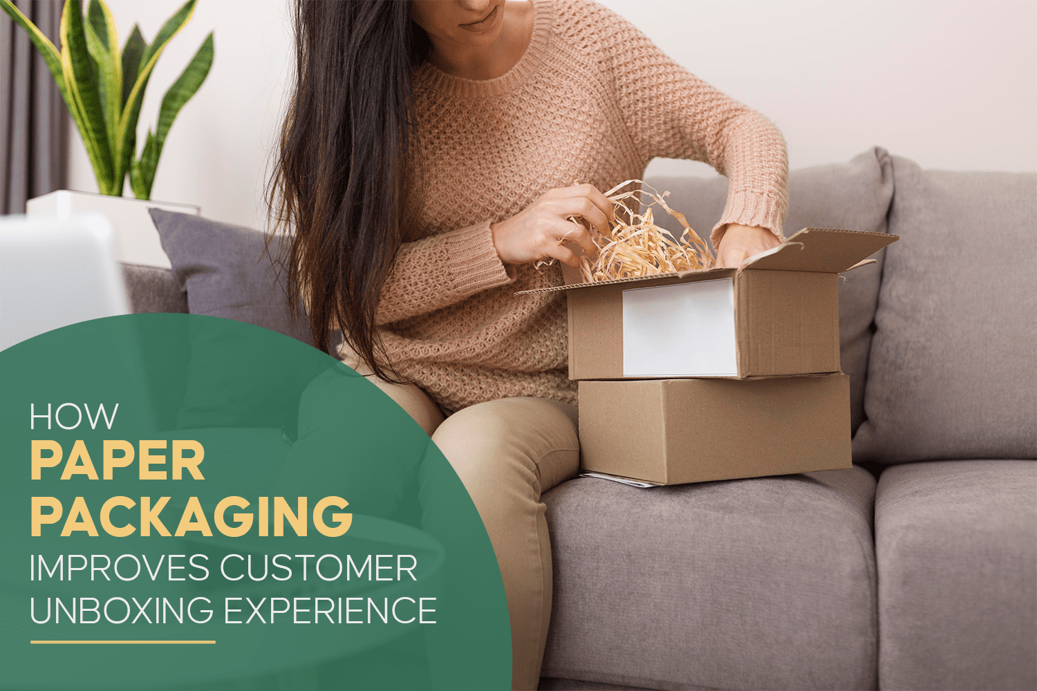 Paper Packaging